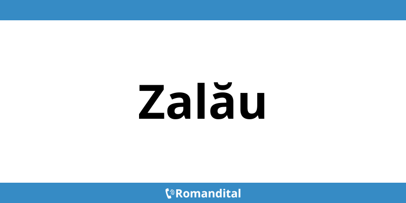 Contact telefon DIGI deranjamente în Zalău