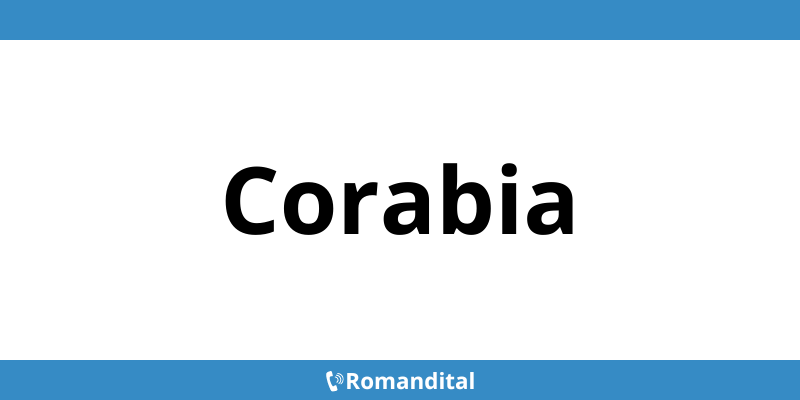 Contact telefon DIGI deranjamente în Corabia