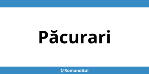 Contact telefon DIGI deranjamente în Păcurari