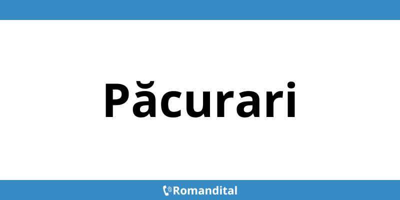 Contact telefon DIGI deranjamente în Păcurari