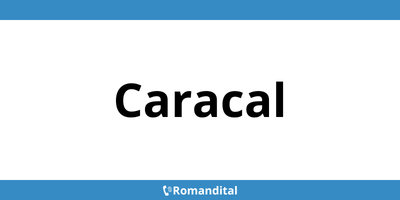 Contact telefon DIGI deranjamente în Caracal